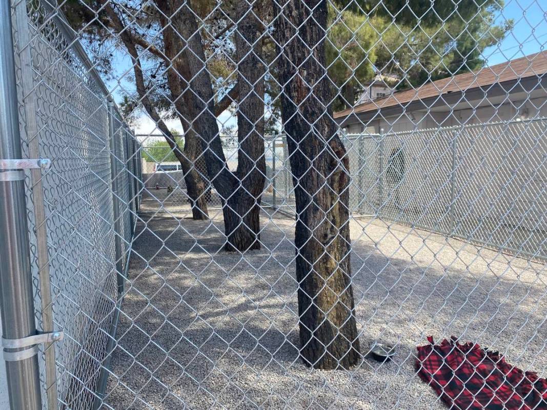 The landscaped yard of SafeNest's new confidential animal shelter is pictured on Wednesday, May ...