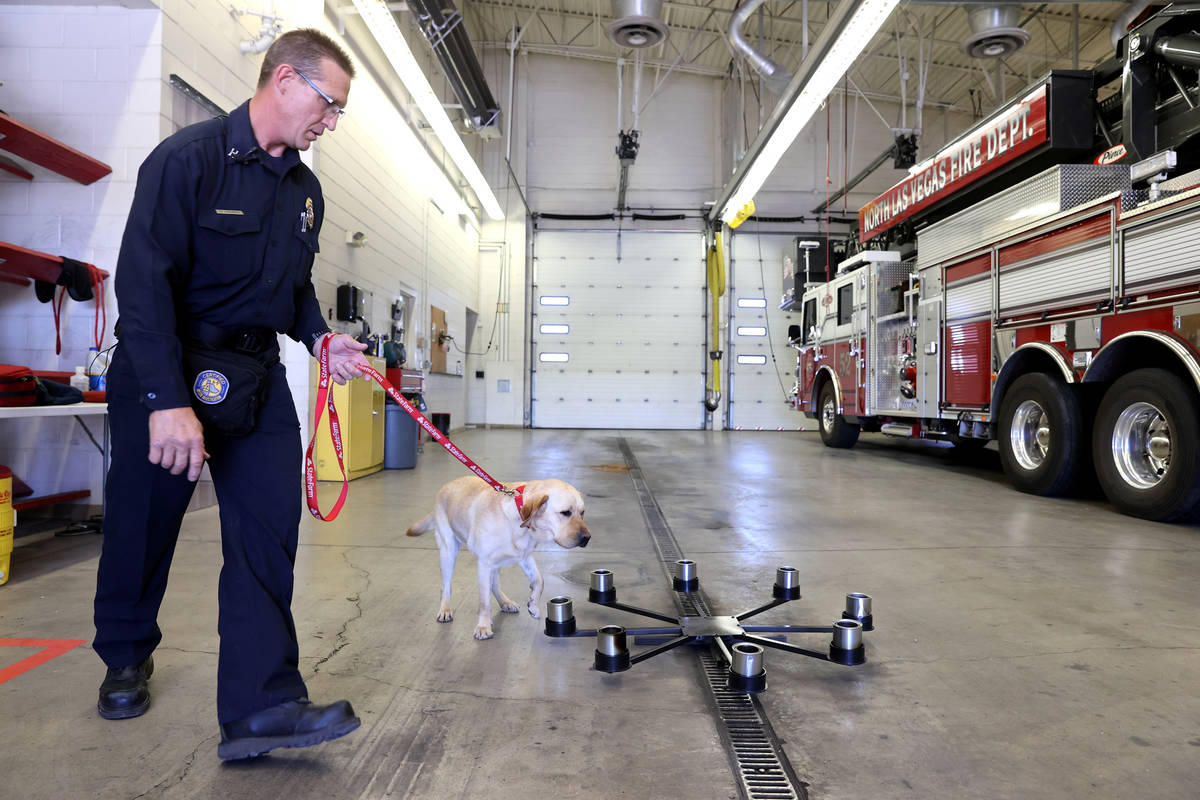 New North Las Vegas Fire Department accelerant detection K-9, Jersey, works with fire investiga ...