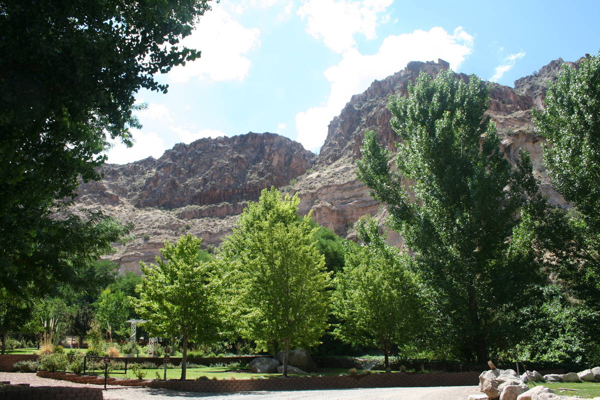 Kershaw-Ryan State Park boasts four natural plant communities: desert scrub, mountain brush, ri ...