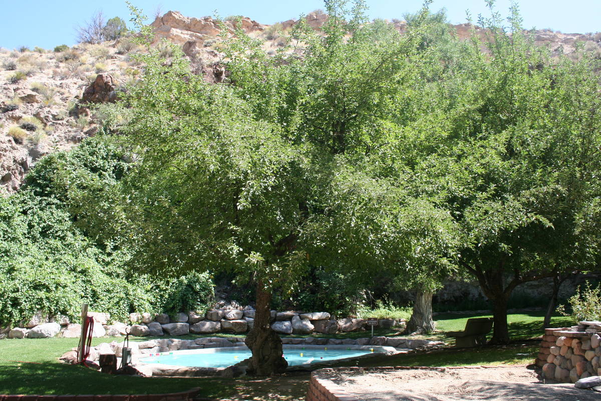 The spring-fed wading pool was built by the CCC and is one of the favorite places in the park f ...