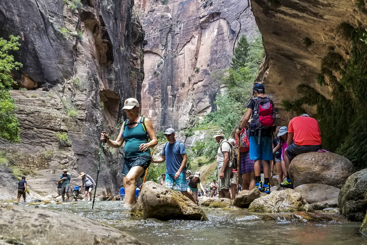 Zion National Park visitors walk along The Narrows, a river hike through the Virgin River, at Z ...