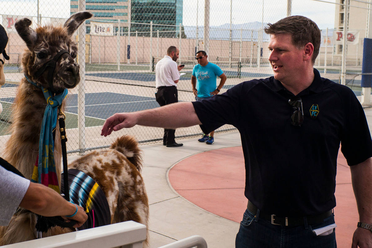 Brett Lashbrook, owner and CEO of Lights FC, greets a llama while preparing for the team's phot ...