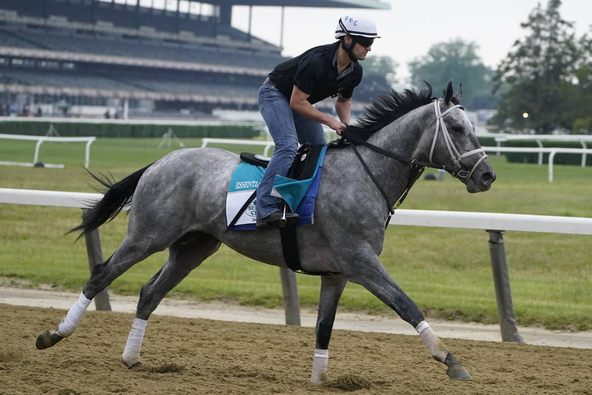 Pictures Of Horses In Belmont Stakes 2024 Olwen Aubrette
