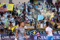 Fans celebrates a score by the Las Vegas Lights against the Tacoma Defiance in the first half o ...