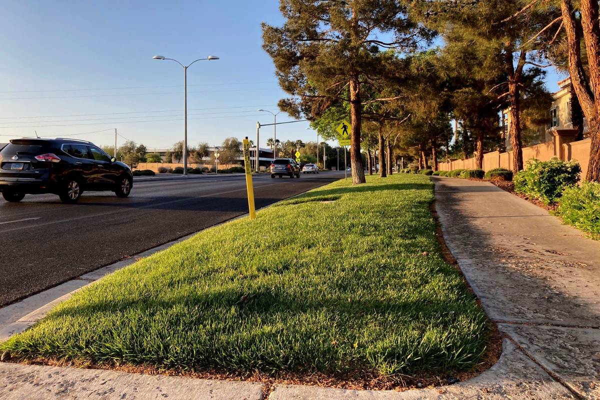 Traffic passes a grassy landscape on Green Valley Parkway in suburban Henderson in April 2021. ...