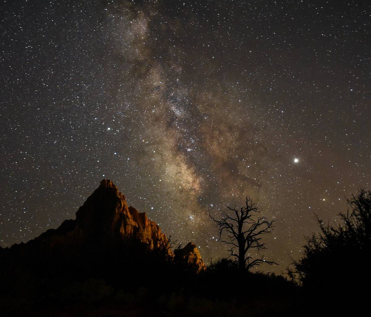 View of Watchman from Pa'rus in Zion National Park (Avery Sloss, National Park Service)
