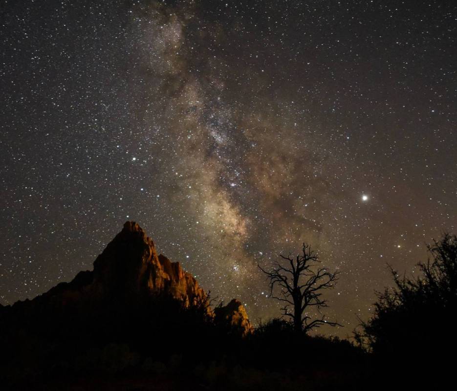 View of Watchman from Pa'rus in Zion National Park (Avery Sloss, National Park Service)