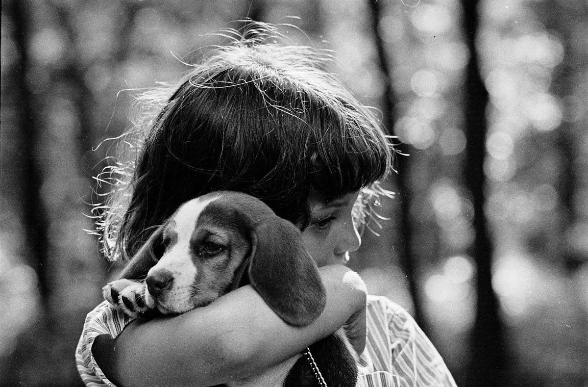 Judy Polumbaum, age 12, with the family's new beagle pup, Daphne, in a photo taken by her fathe ...