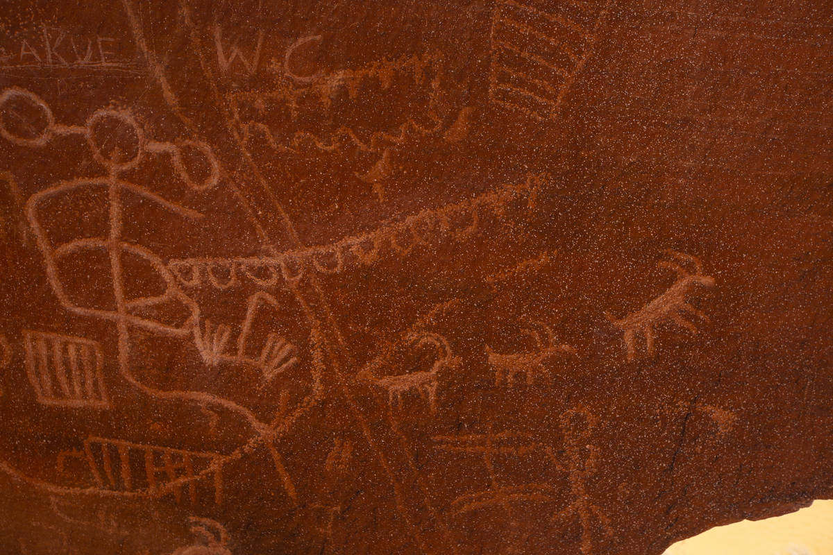 Petroglyphs depicting bighorn sheep are seen at Atlatl Rock in Valley of Fire State Park on Tue ...