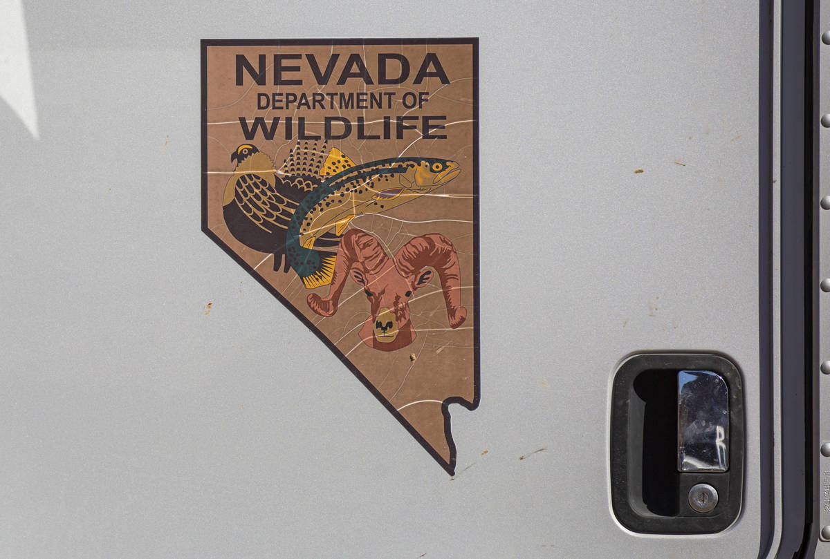 A Nevada Department of Wildlife logo is seen on a truck during an emergency water haul operatio ...