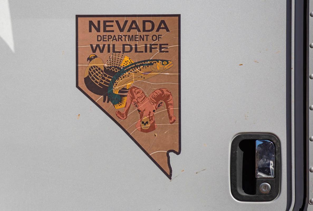 A Nevada Department of Wildlife logo is seen on a truck during an emergency water haul operatio ...