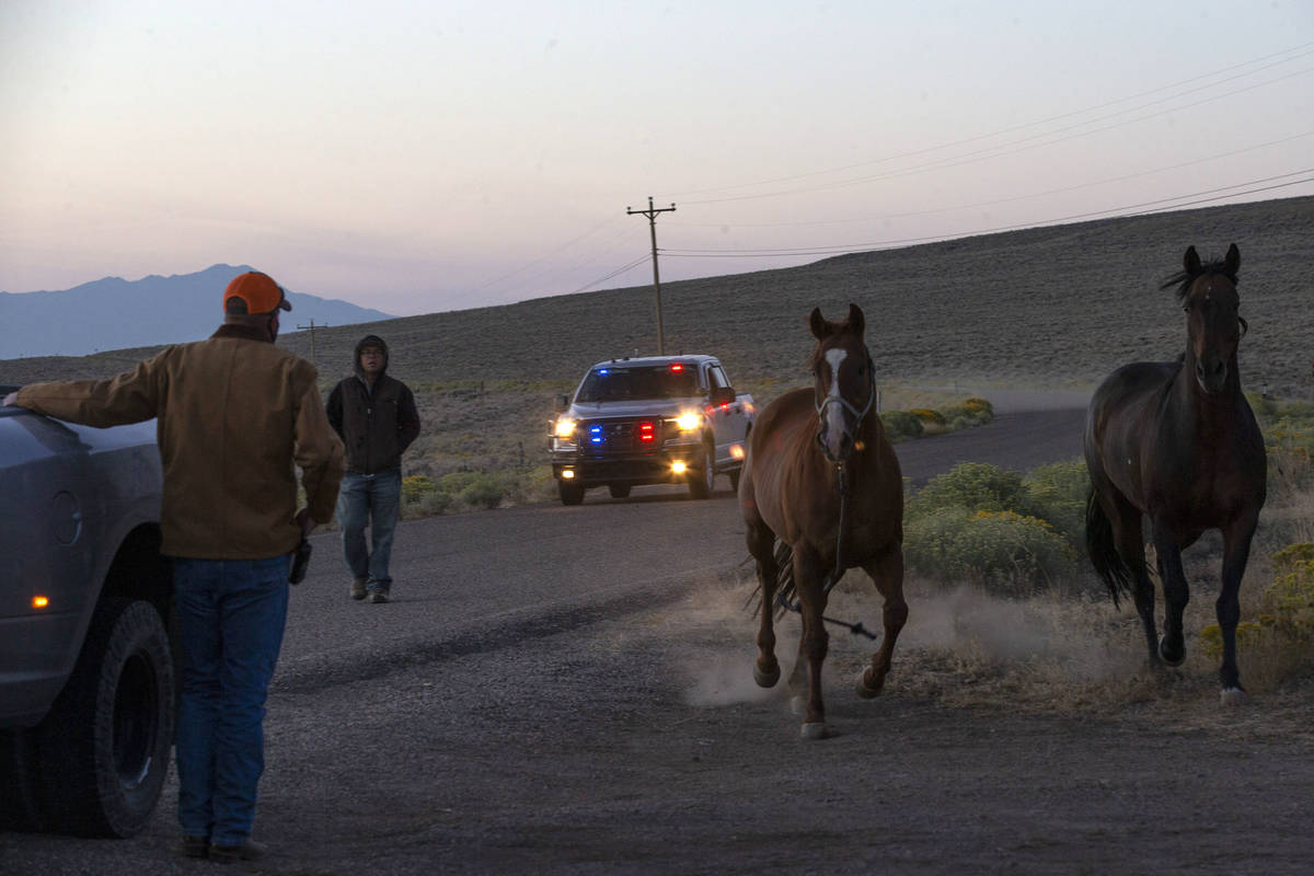 Two domesticated horses are rounded up by Eureka's sheriff as the crew heads out to the first d ...