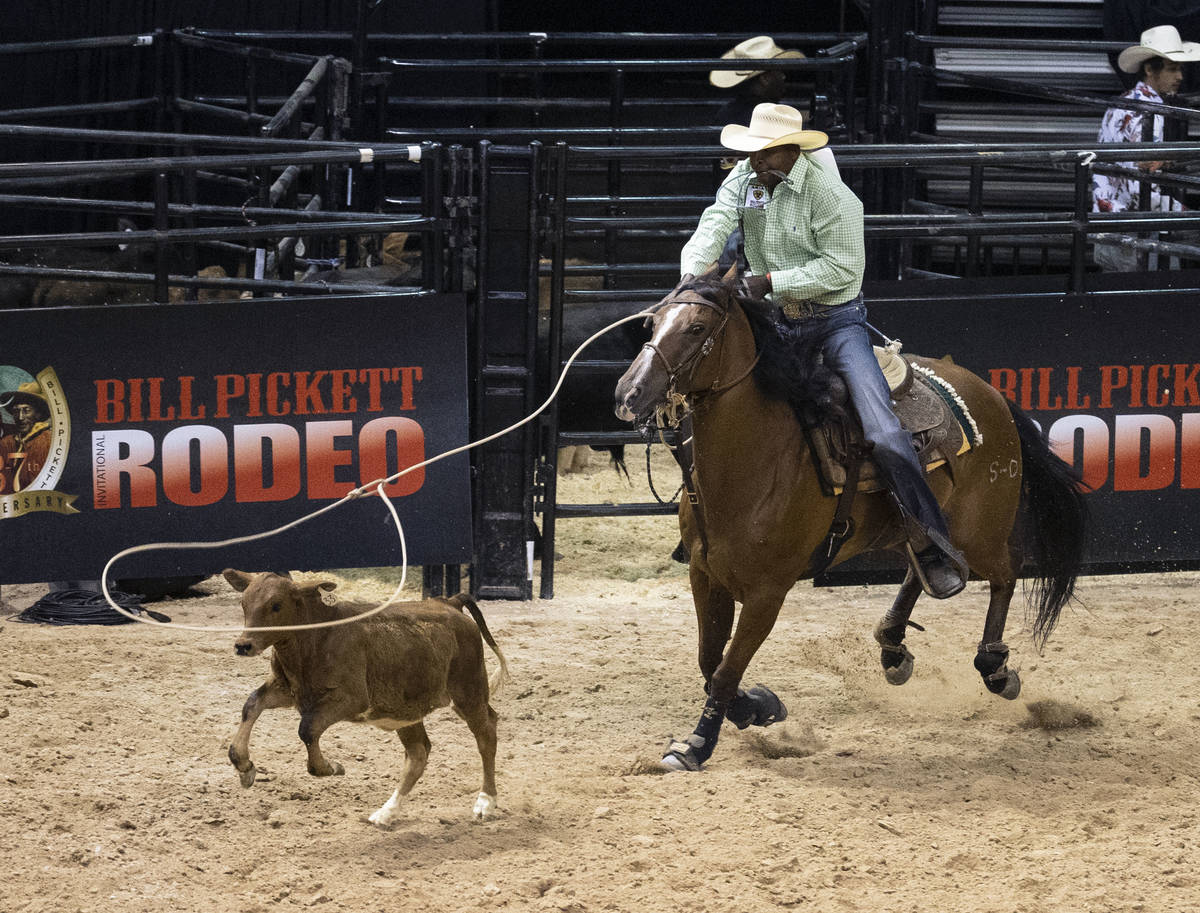 Chris Rolling, of Huntsville, Texas, participates in calf roping competition at the Bill Picket ...