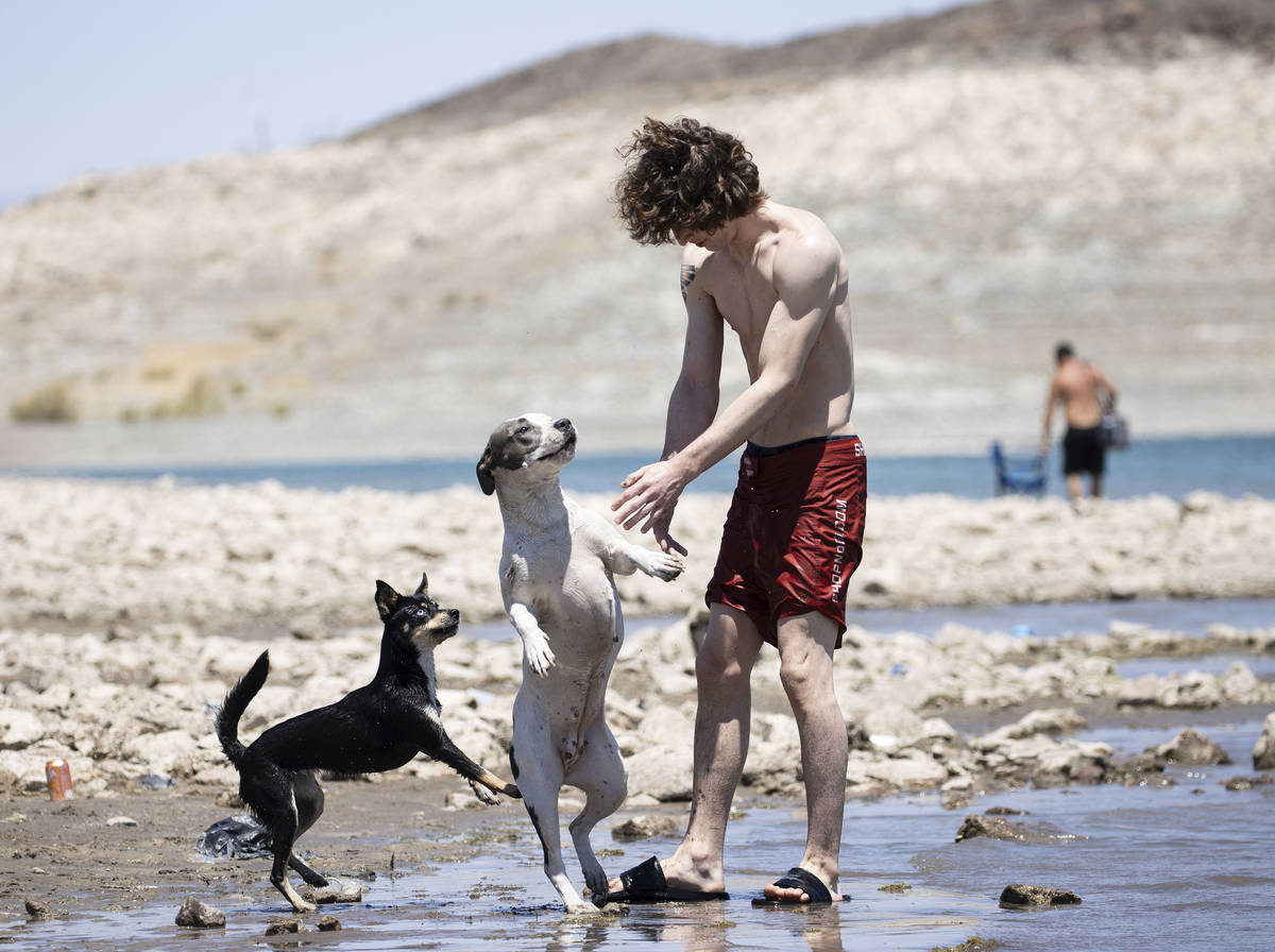 Jordan Writh of Henderson plays with his dogs Rousey and Karma at Boulder Beach at Lake Mead Na ...