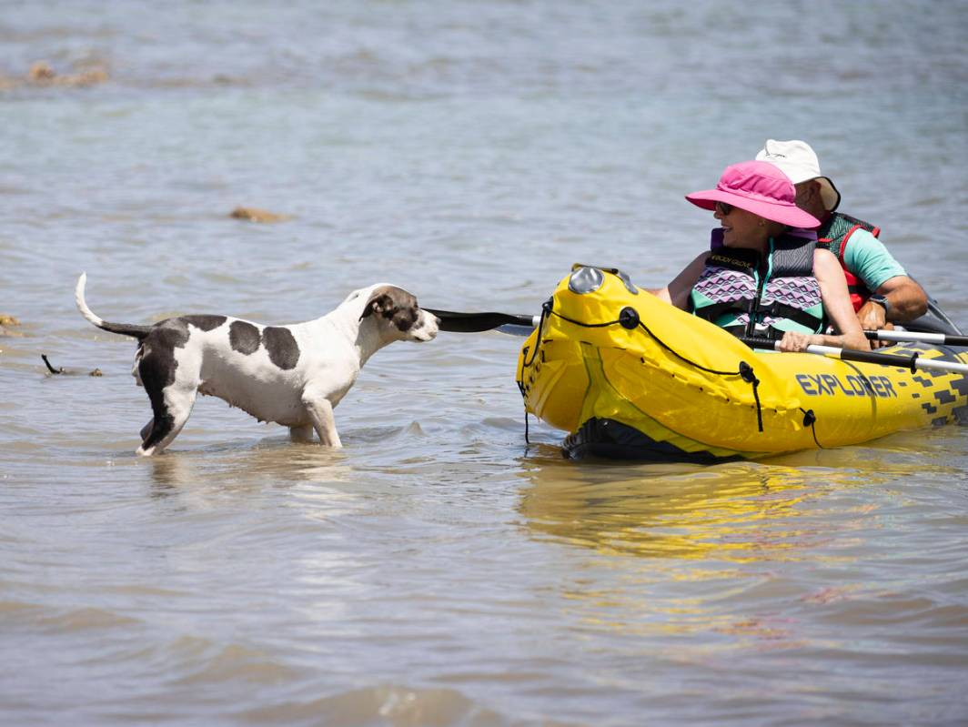 Karma, left, watches as Liz Fraser and her husband J.D., both of Las Vegas, kayak at Boulder Be ...