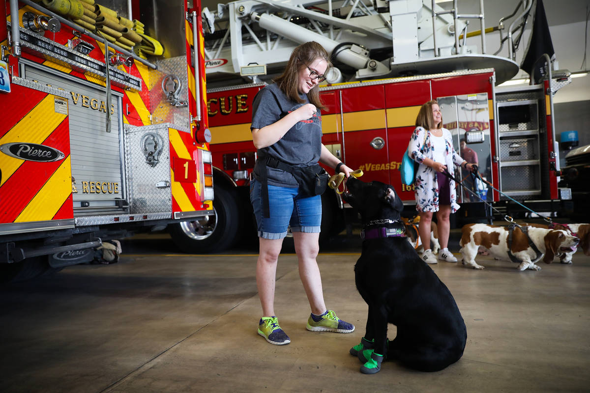 Faith Nault plays with her lab Hippo at an event to teach the public about animal safety in the ...