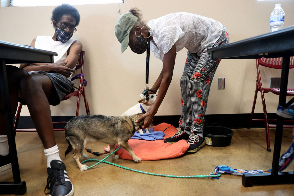 Marie Smith, 62, checks on her dogs Clyde, rear, and Keekee as her son, Michael Lawrence, 43, l ...