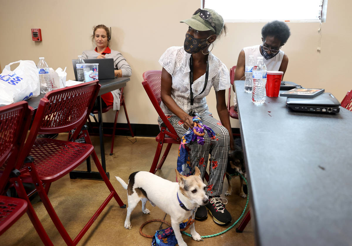Marie Smith, 62, checks on her dogs Clyde, left, and Keekee in the cooling station at Cambridge ...