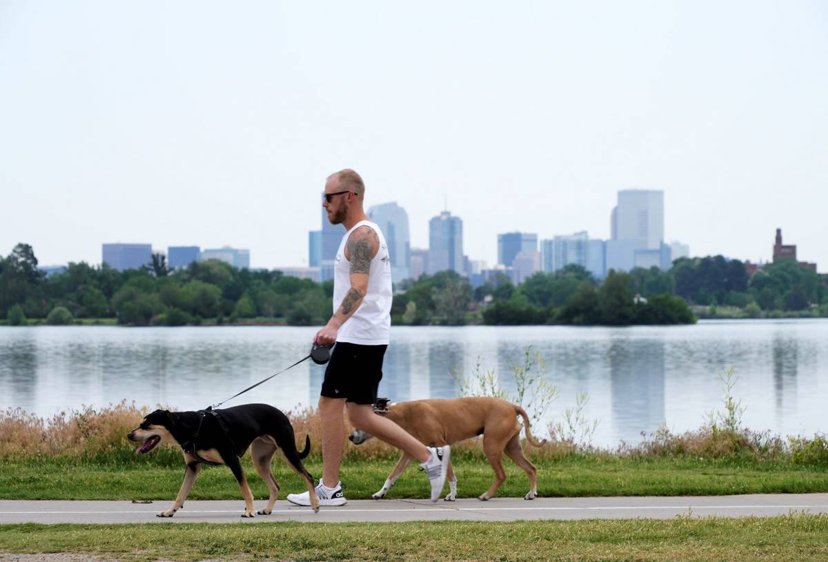 A man walks dogs alongside Sloan's Lake in Denver on Wednesday, June 16, 2021.(AP Photo/Brittan ...