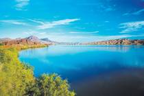 South end of Lake Havasu (Las Vegas Review-Journal)