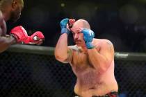 Timothy Johnson is seen during a mixed martial arts bout at Bellator 208, in Uniondale, NY on S ...