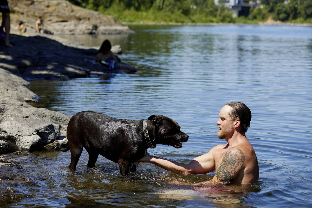 Justin Swanner and his dog Havoc swim in the Clackamas River to escape from the heat during a r ...