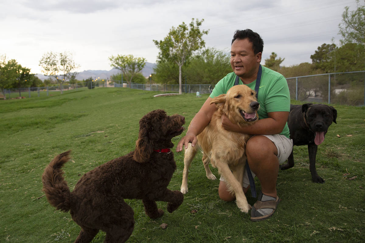 Bruce Souvanna, of Las Vegas, wrangles his dog Fozzie, center, in for a photo while other dogs ...
