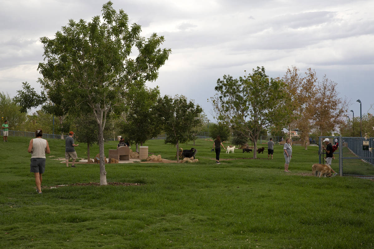 Dogs and their owners play at Kellogg Zaher Dog Park on Tuesday, June 29, 2021, in Las Vegas. ( ...