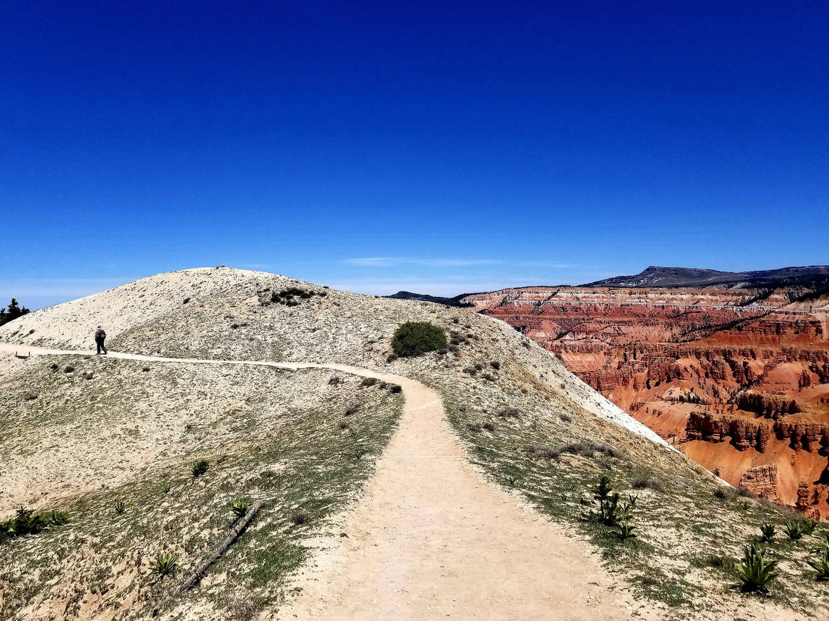 A hiker walks along the Ramparts Trail, where wildflowers bloom, bristlecone pines twist and po ...