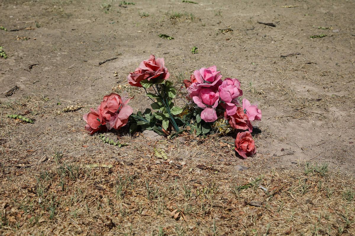 Roses near an unmarked area where unidentified bodies are buried at Woodlawn Cemetery in Las Ve ...