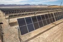 Some of the solar panels from MGM's Mega Solar Array located on 640 acres in the desert which h ...