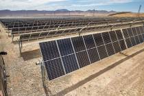 Some of the solar panels from MGM's Mega Solar Array located on 640 acres in the desert which h ...