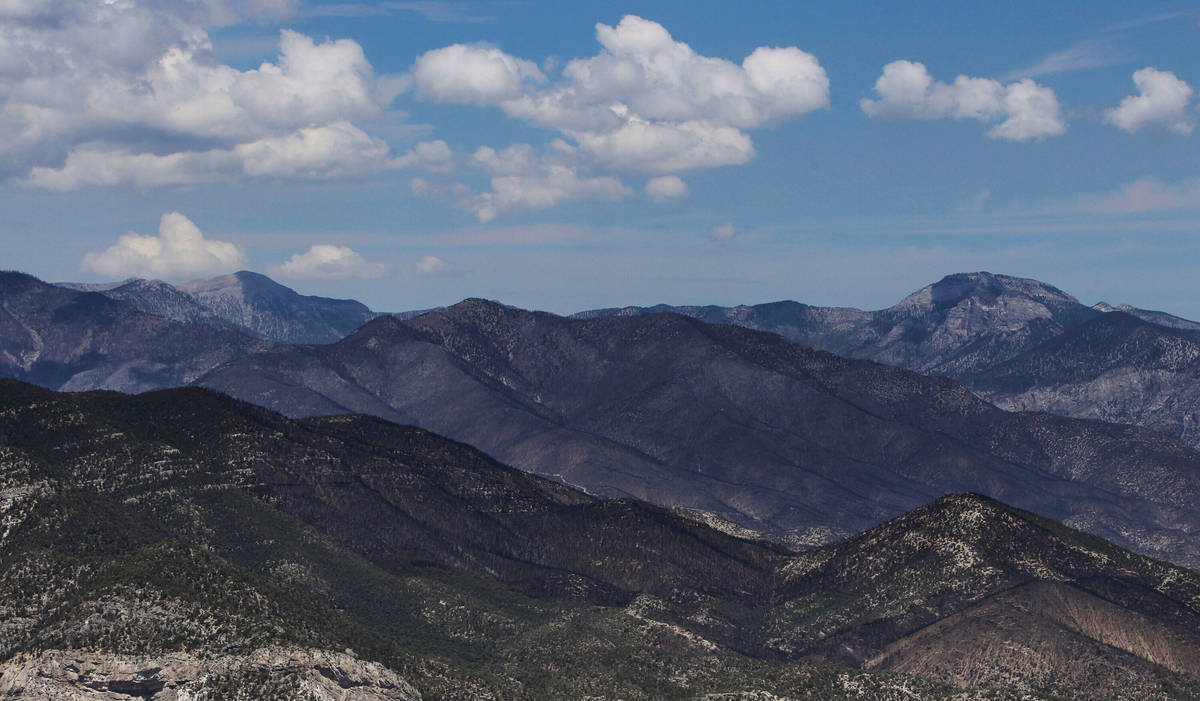 The aftermath of the Carpenter 1 fire is seen from the air above Mount Charleston northwest of ...