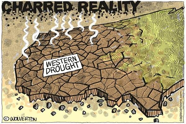 Monte Wolverton, Battle Guard, Washington