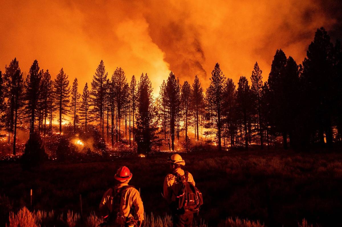 Firefighters monitor the Sugar Fire, part of the Beckwourth Complex Fire, as it burns at French ...