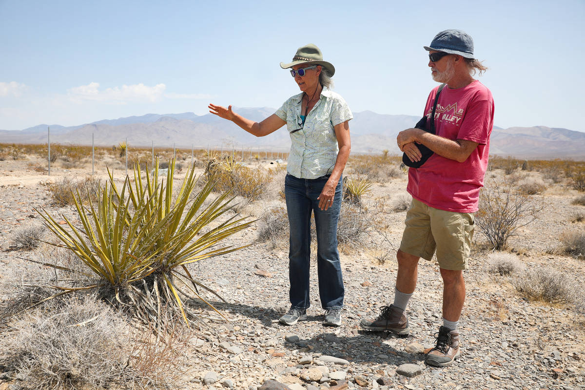 Laura Cunningham stands with her husband, Kevin Emmerich, as they talk about the Mojave yucca p ...