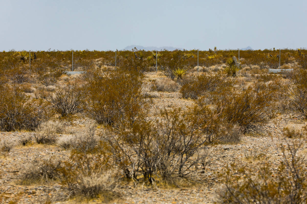 The fence of the future Yellow Pine solar project that will cover a 3,000-acre swath of desert, ...