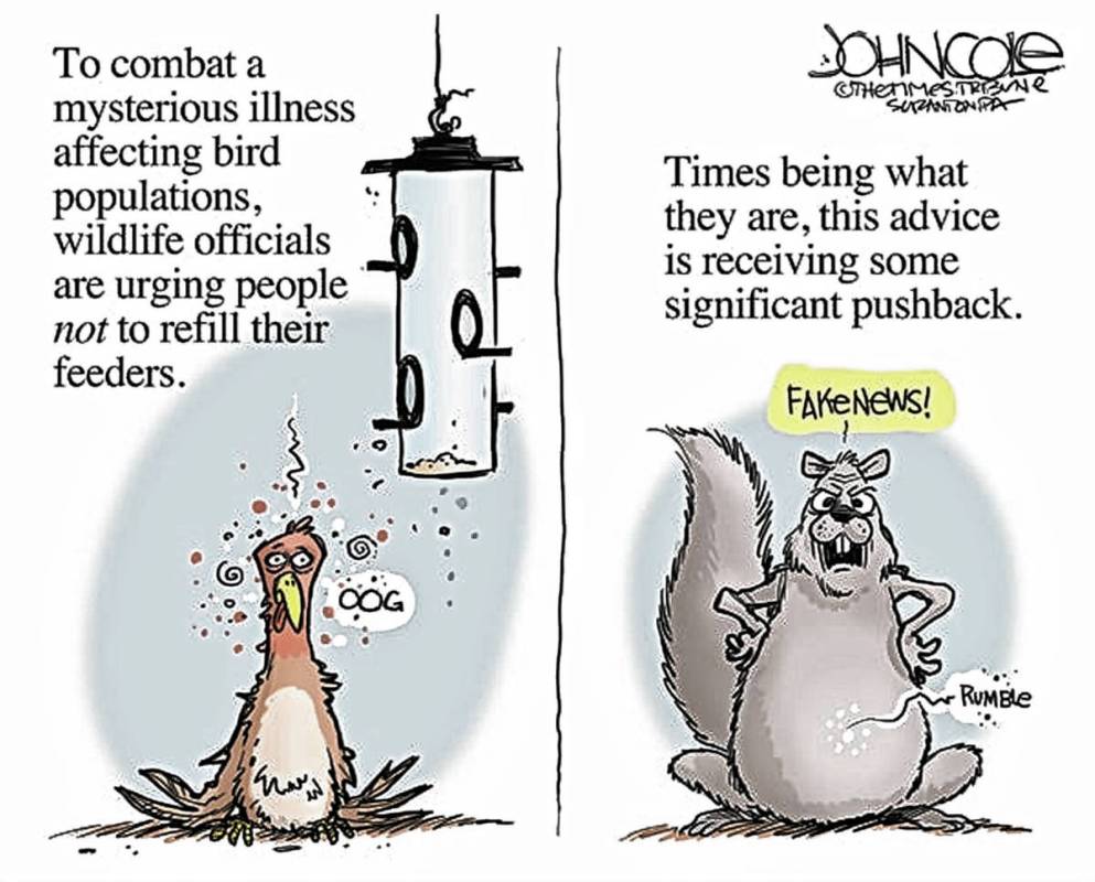 John Cole The Scranton Times-Tribune
