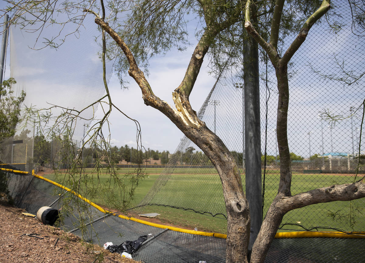 A fence damaged by fallen tree shown at Arroyo Grande Sports Complex after a rainstorm, on Frid ...
