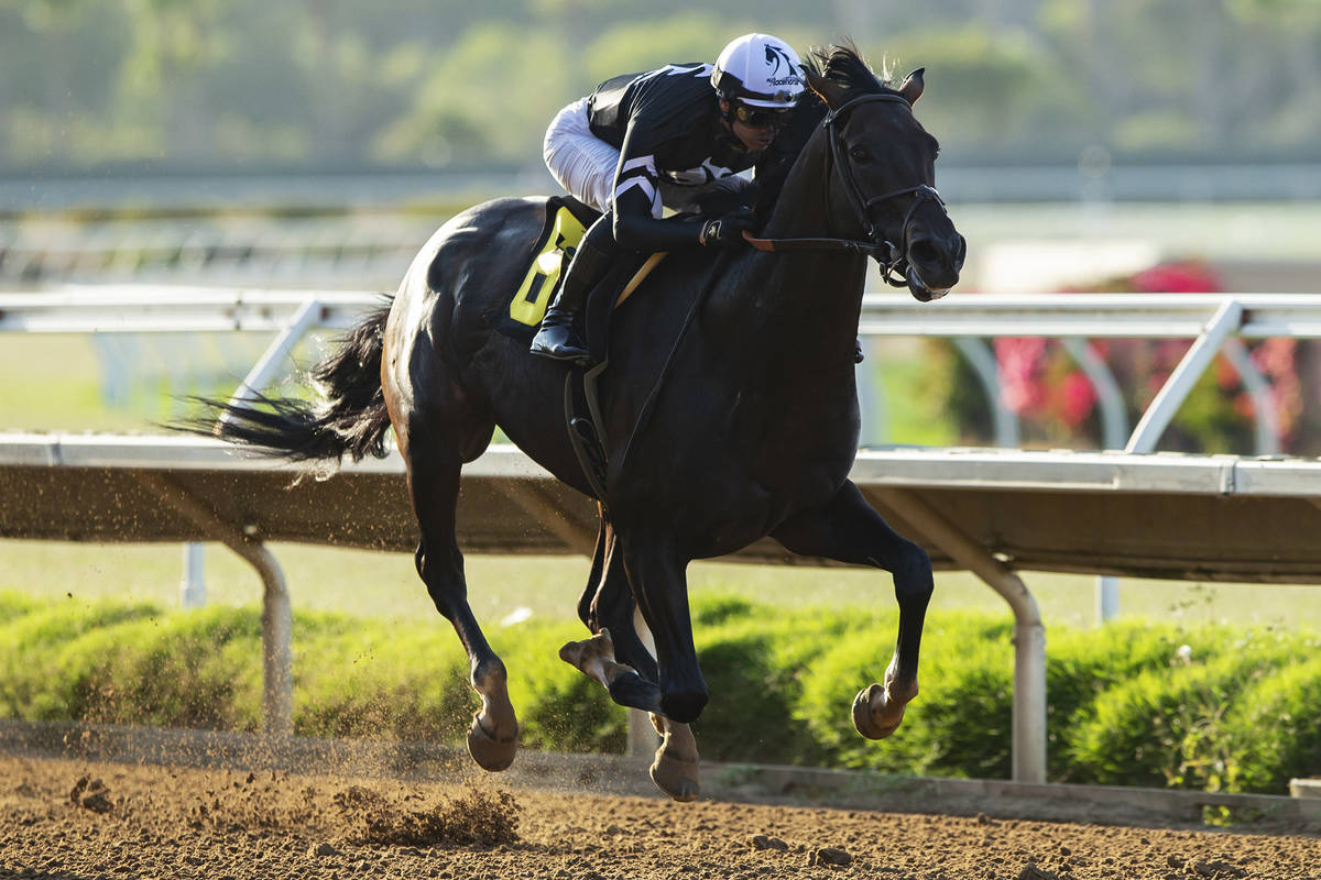 In this photo provided by Benoit Photo, Tizamagician and jockey Flavien Prat win the Grade III, ...