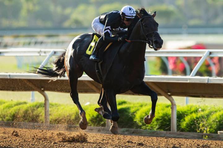 In this photo provided by Benoit Photo, Tizamagician and jockey Flavien Prat win the Grade III, ...