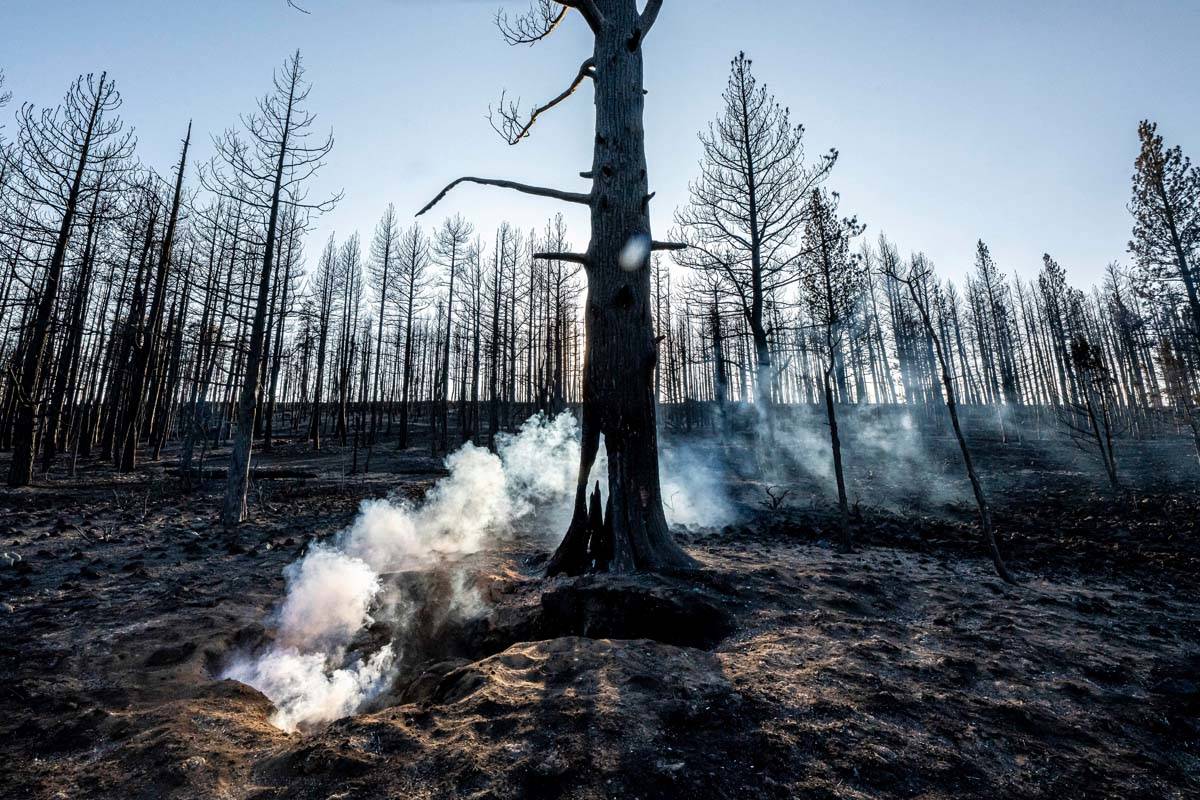 Spot fires smolder near trees damaged by the Bootleg Fire on Wednesday, July 21, 2021 in Bly, O ...