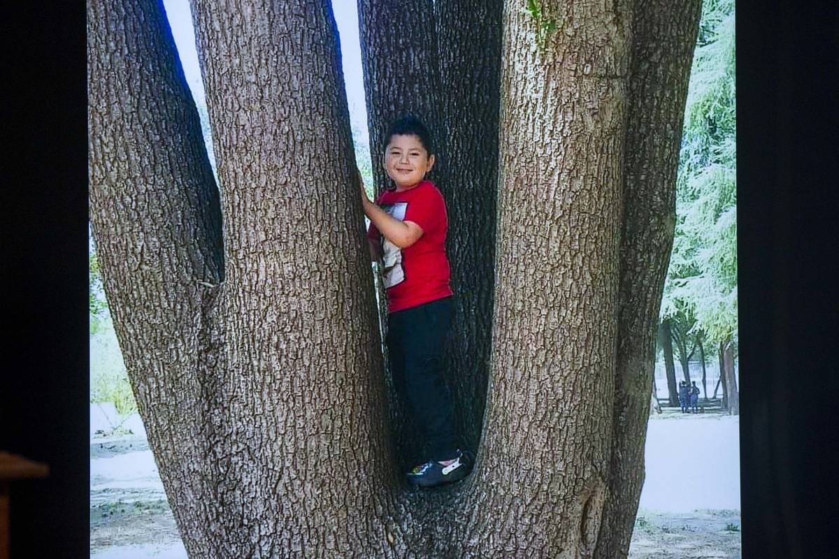 Police photo of Liam Husted identified as the unidentified slain boy at Metro Headquarters on M ...