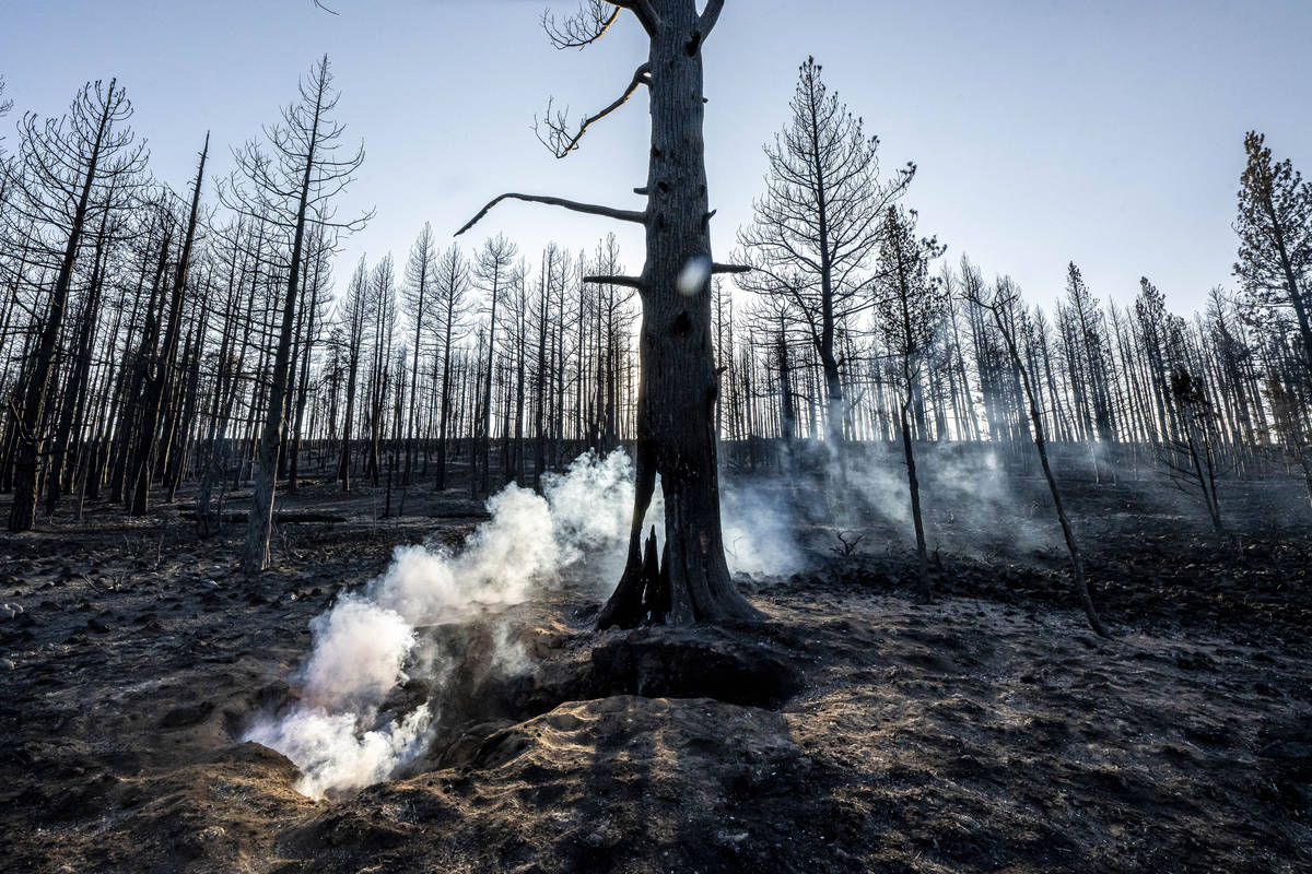 Spot fires smolder near trees damaged by the Bootleg Fire on Wednesday, July 21, 2021 in Bly, O ...