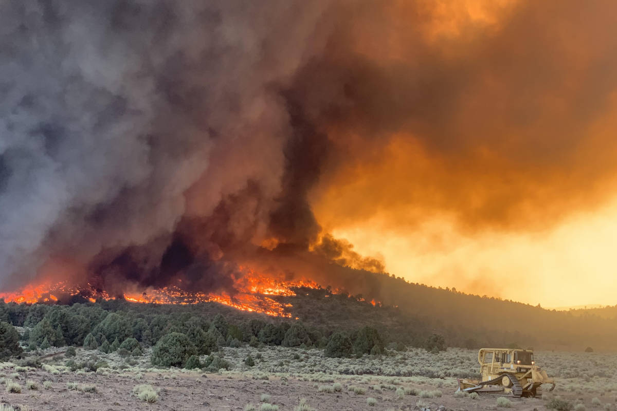 This Tamarack fire image was taken around Leviathan Mine Road, Nevada-California border on Wedn ...