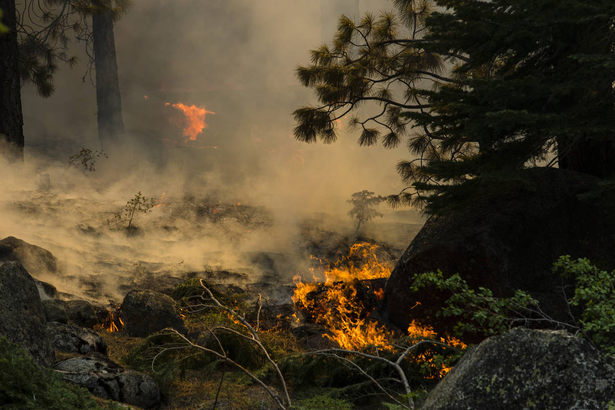 The Tamarack Fire burns astir   California State Route 88 adjacent   Alpine Village, Calif., Friday, J ...