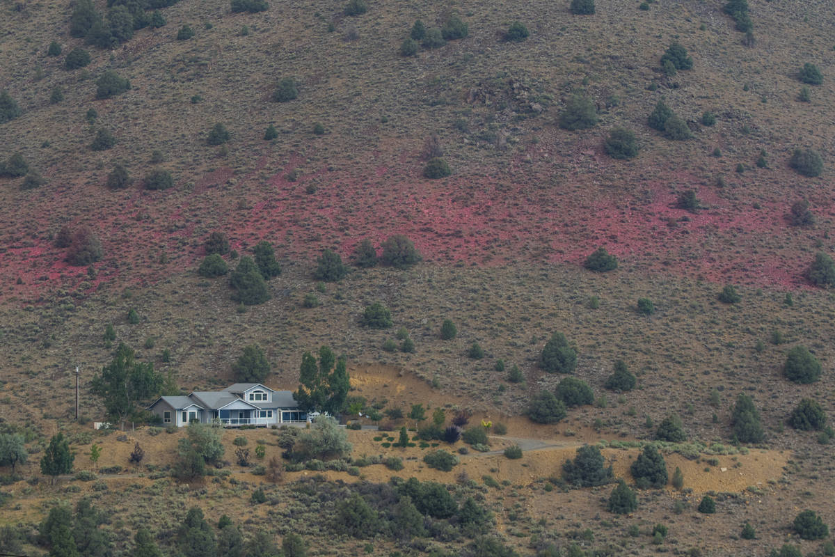 Topaz Lake, Nev., Friday, July 23, 2021. (Ty Oneil/Special to the Las Vegas Review-Journal)