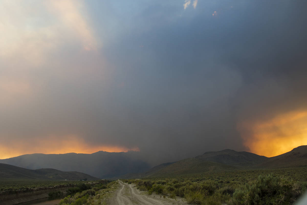 The Tamarack Fire burns adjacent   Nevada State Route 208, eastbound  of Holbrook Junction successful  Nevada, Frida ...