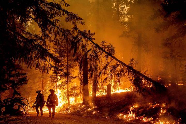 Firefighters light a backfire to stop the Dixie Fire from spreading near Prattville in Plumas C ...