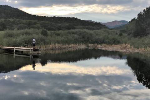 You don’t have to fish big water to catch hungry trout. Even a small ranch pond can provid ...